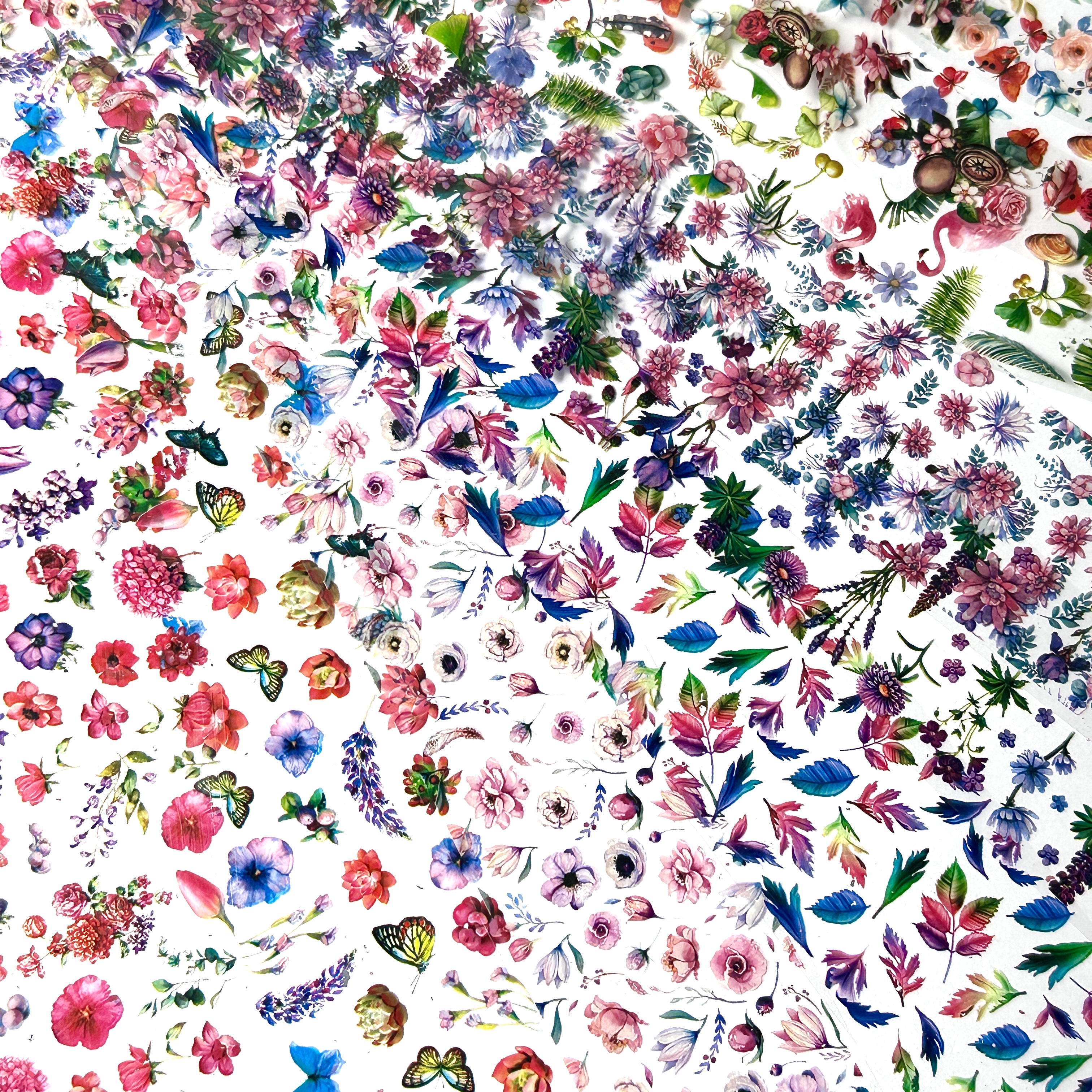FOLIEN SET Blumen,Flamingos